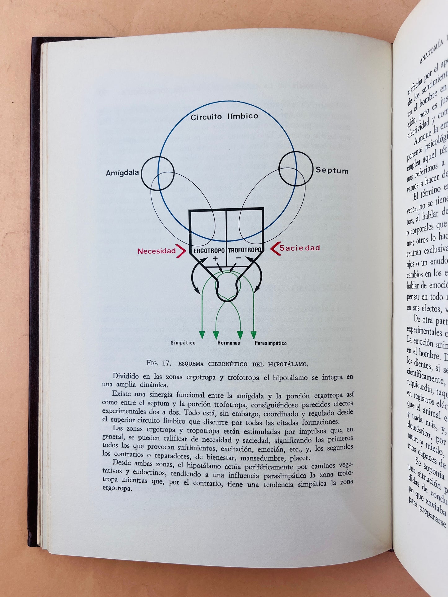 Anatomía de la consciencia Anatomía sofrológica