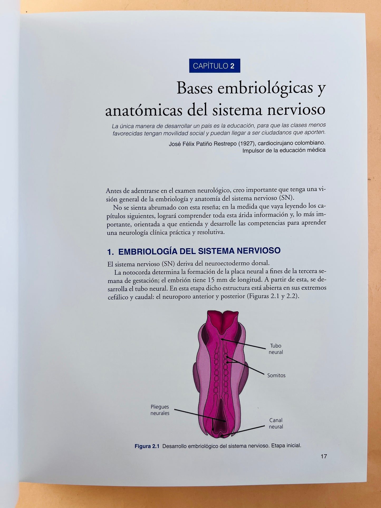 Semiología y fundamentos de la Neurología Clínica segunda edición