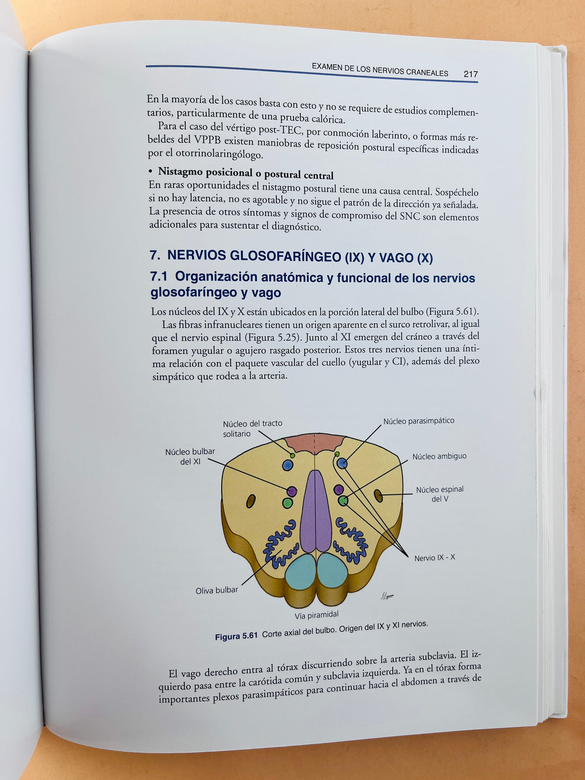 Semiología y fundamentos de la Neurología Clínica segunda edición by CarloS R. Silva Rosas