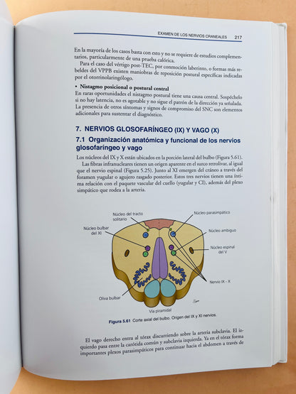 Semiología y fundamentos de la Neurología Clínica segunda edición