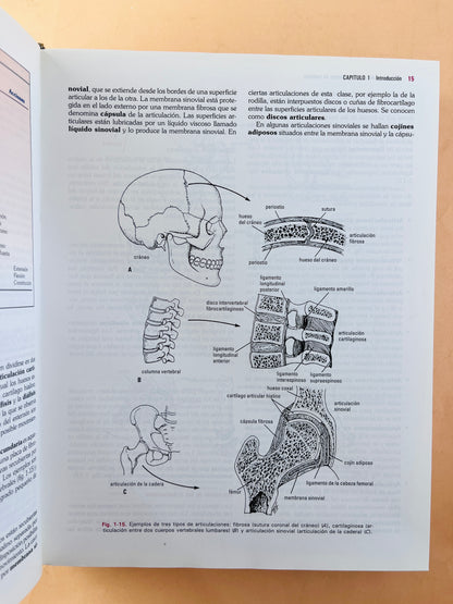 Anatomía clínica para estudiantes de Medicina sexta edición