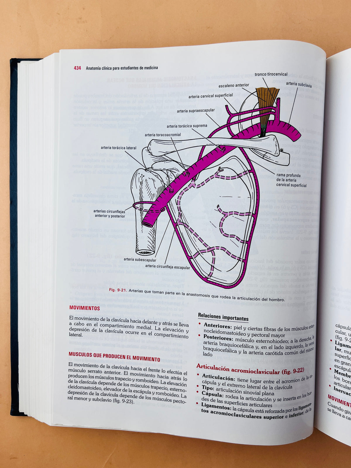 Anatomía clínica para estudiantes de Medicina sexta edición by Richard S. Snell