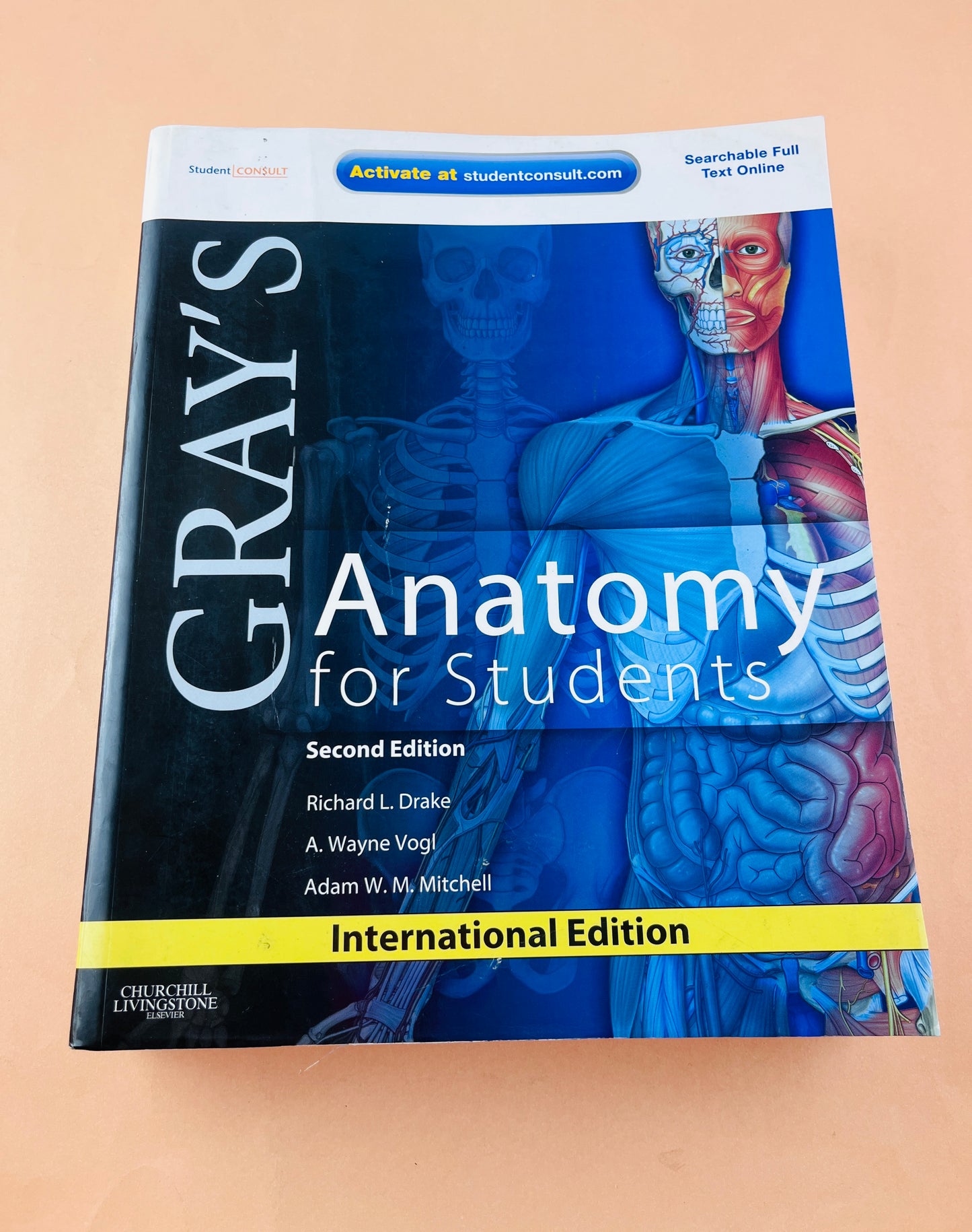 Gray's Anatomy for students second edition
