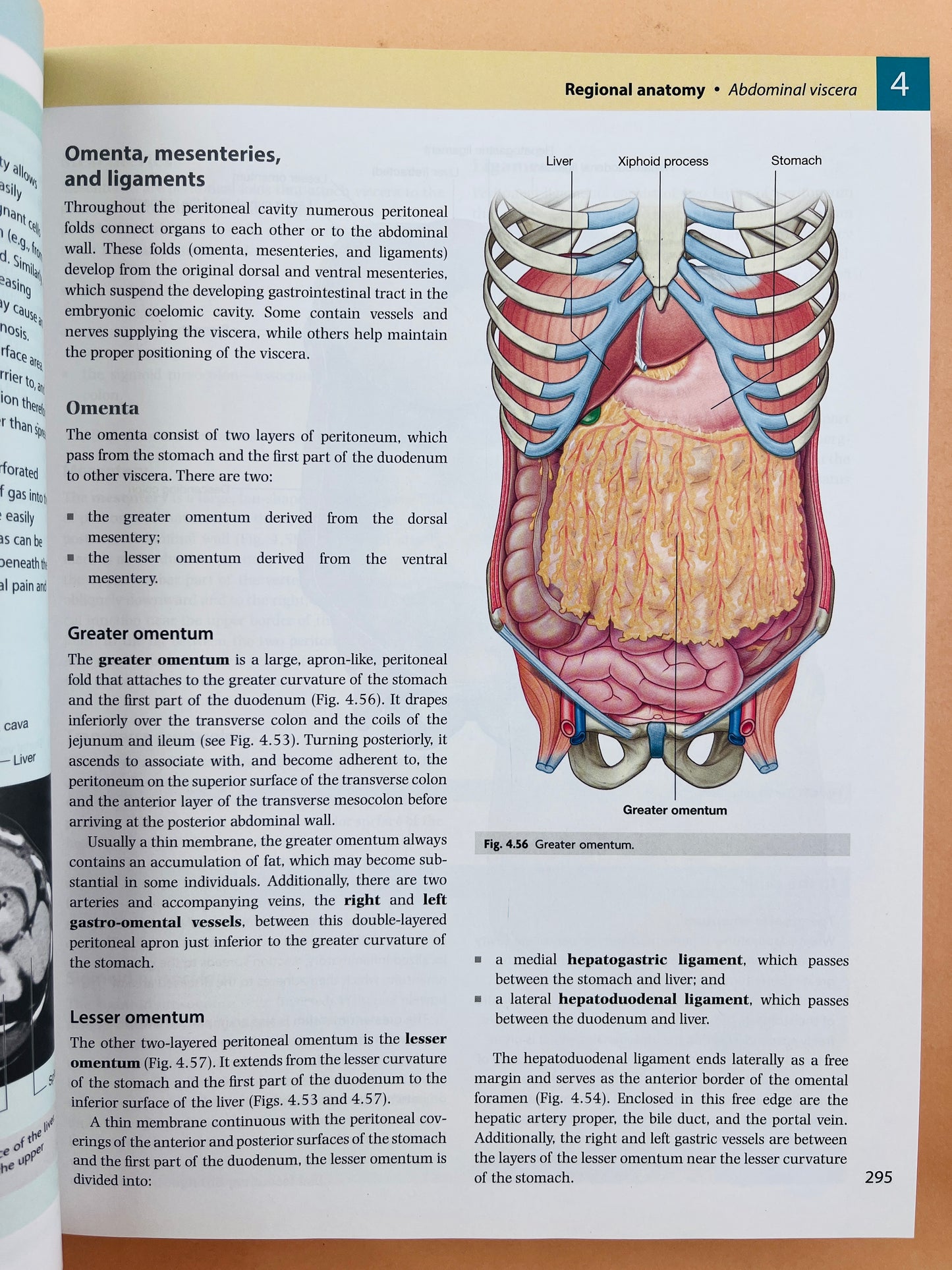 Gray's Anatomy for students second edition