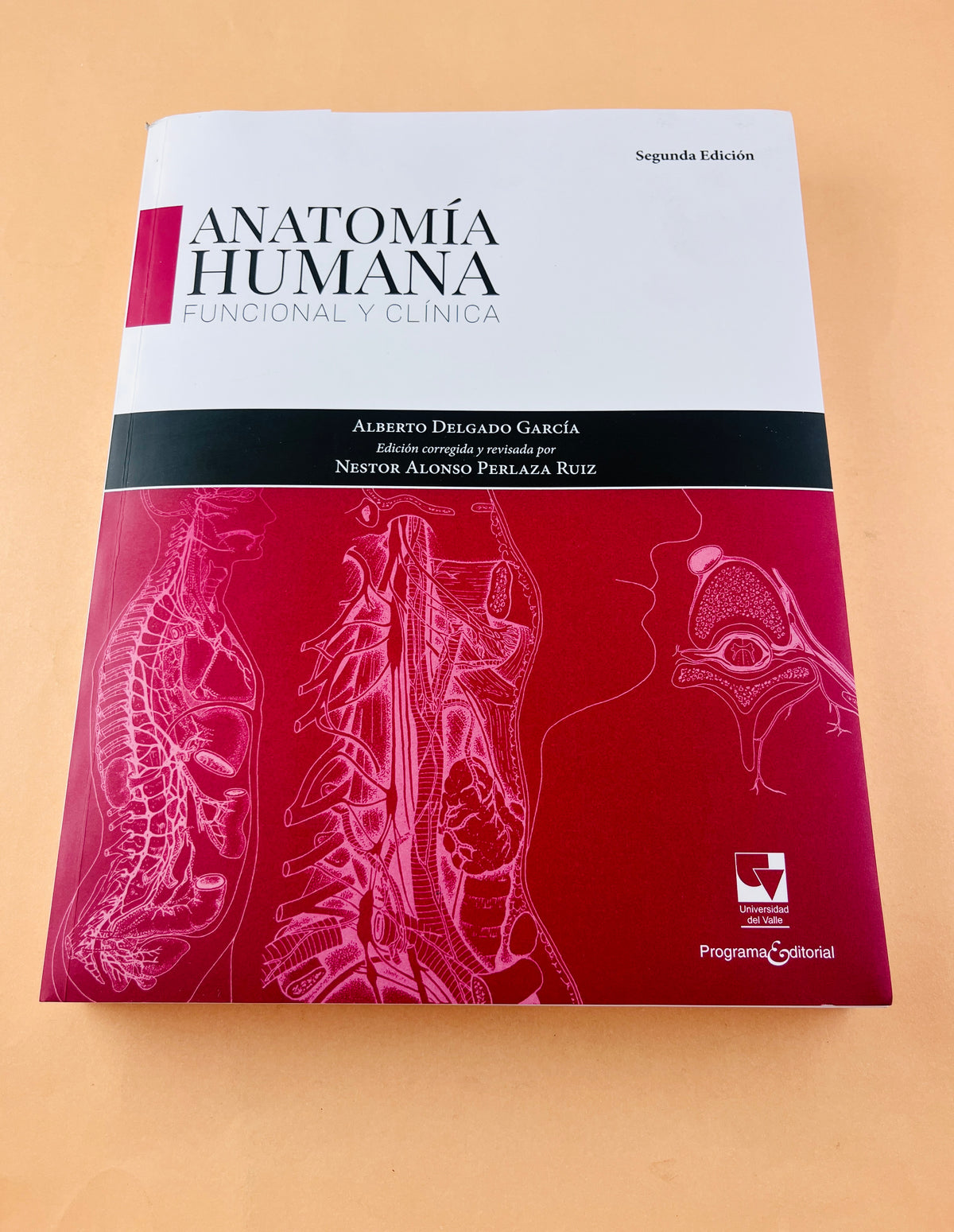 Anatomía humana funcional y clínica segunda edición by Alberto Delgado García