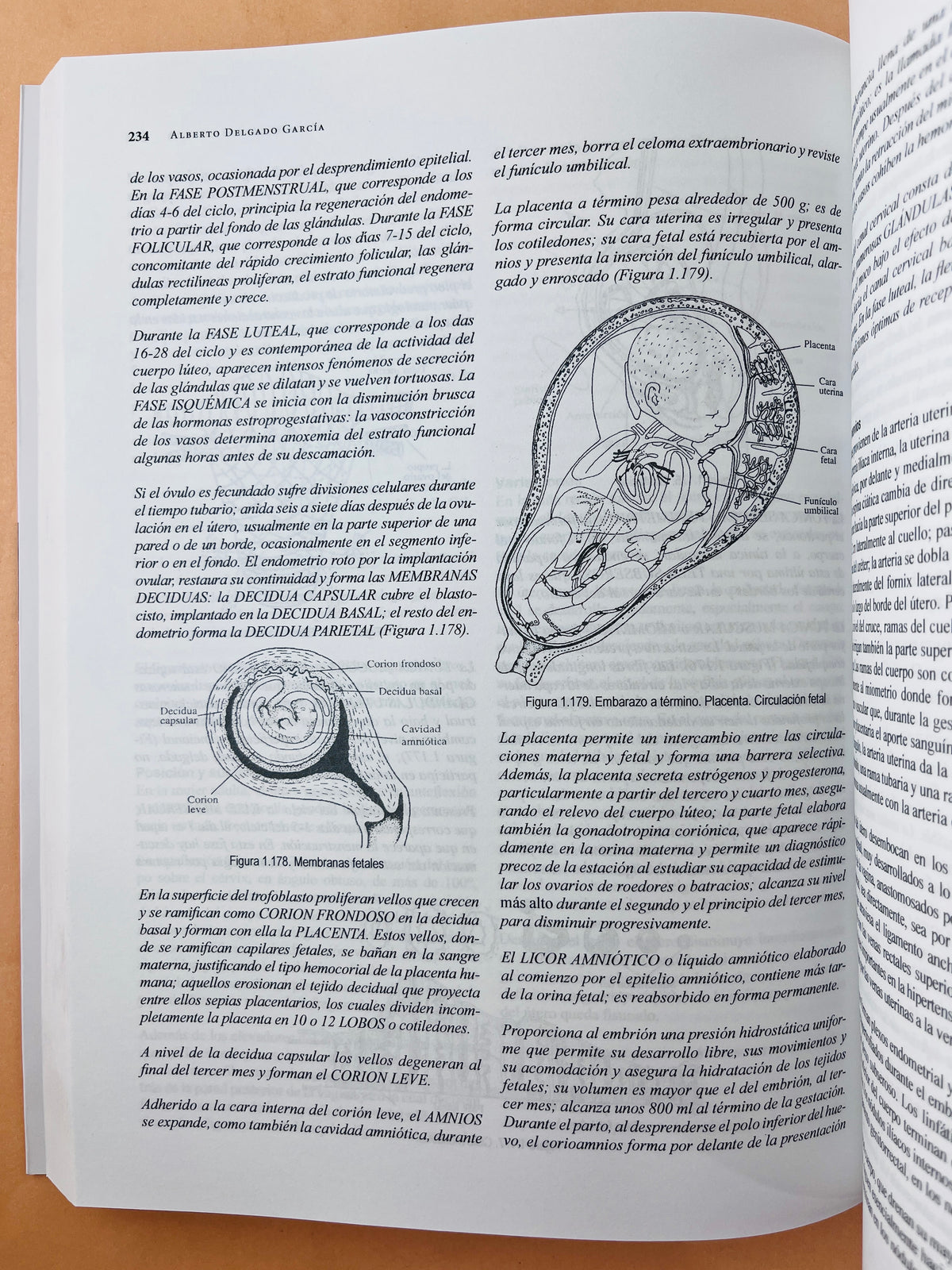 Anatomía humana funcional y clínica segunda edición by Alberto Delgado García