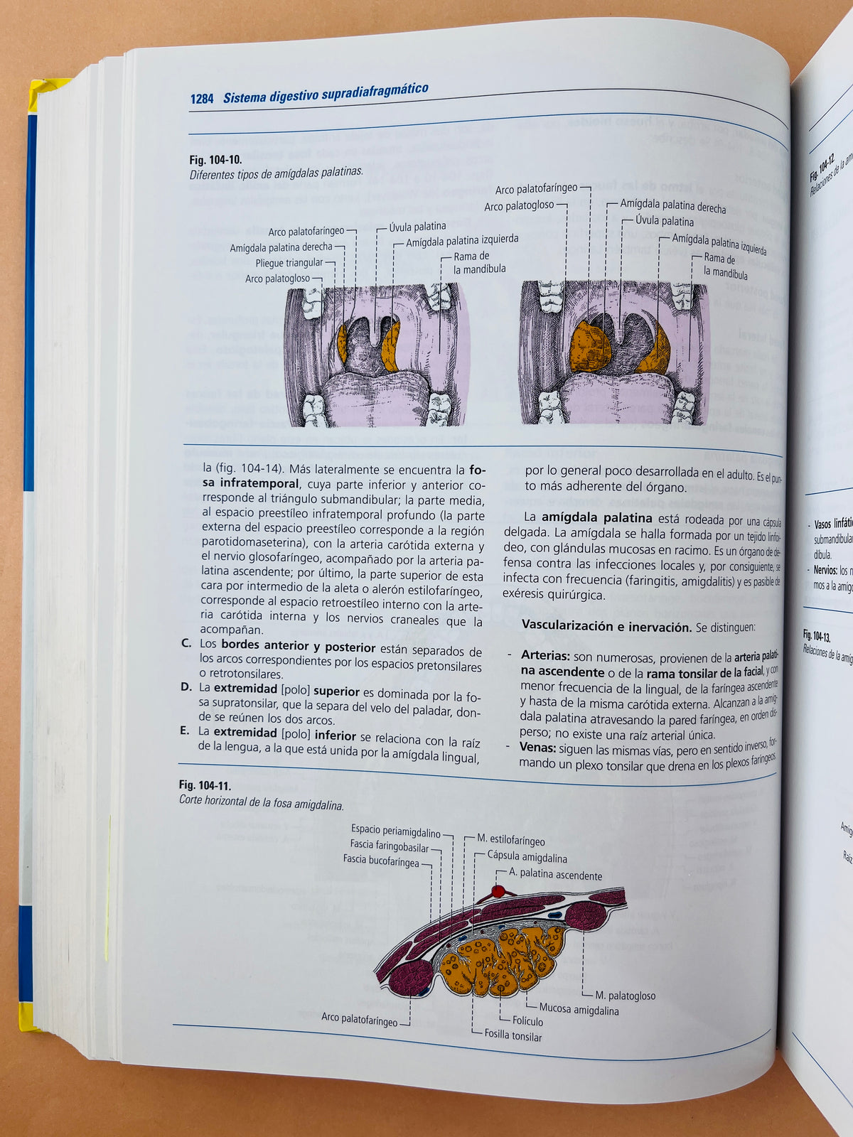 Anatomía humana 4a edición dos tomos by Latarjet Ruíz Liard