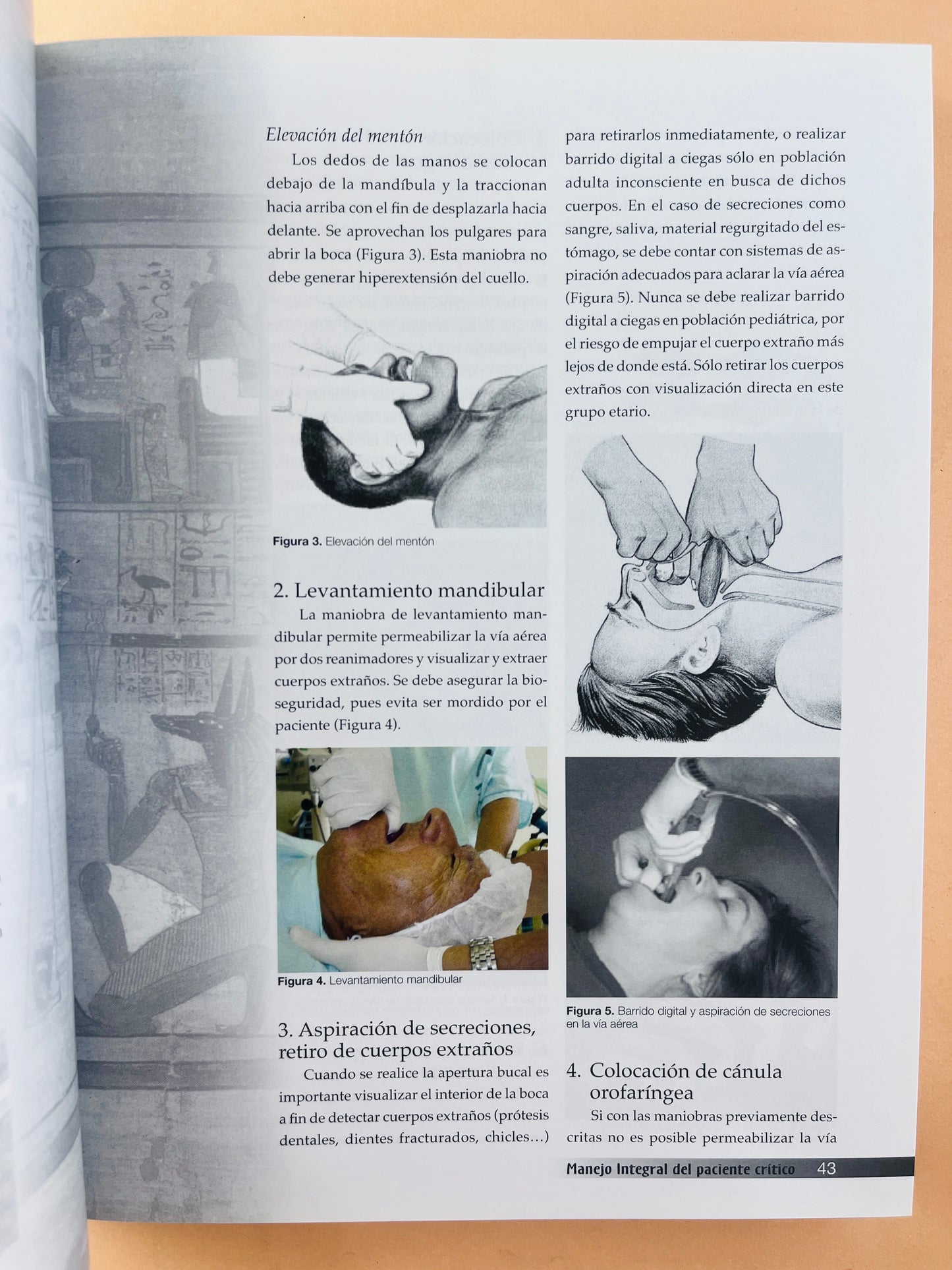 Manejo integral del paciente crítico segunda edición