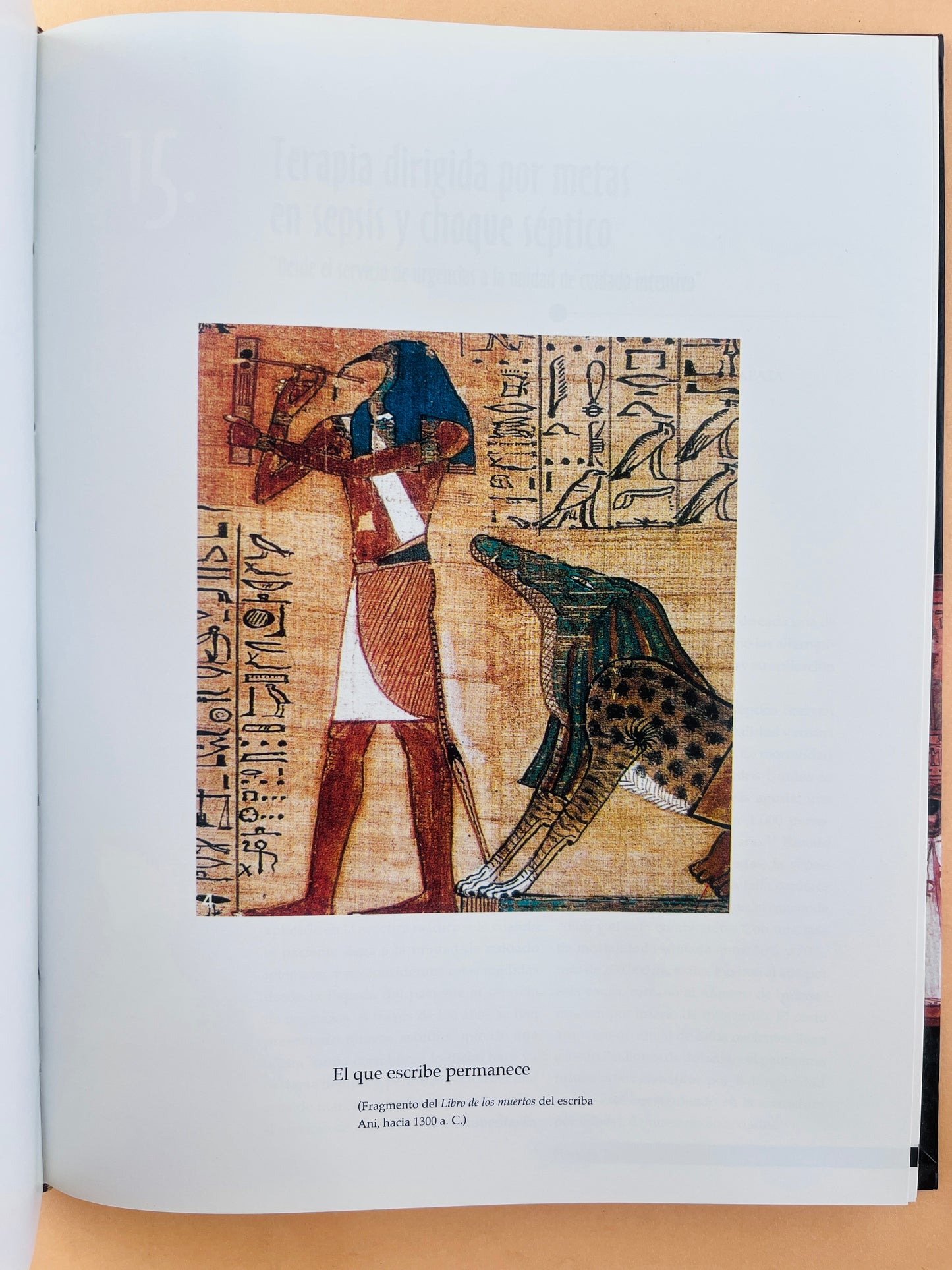 Manejo integral del paciente crítico segunda edición