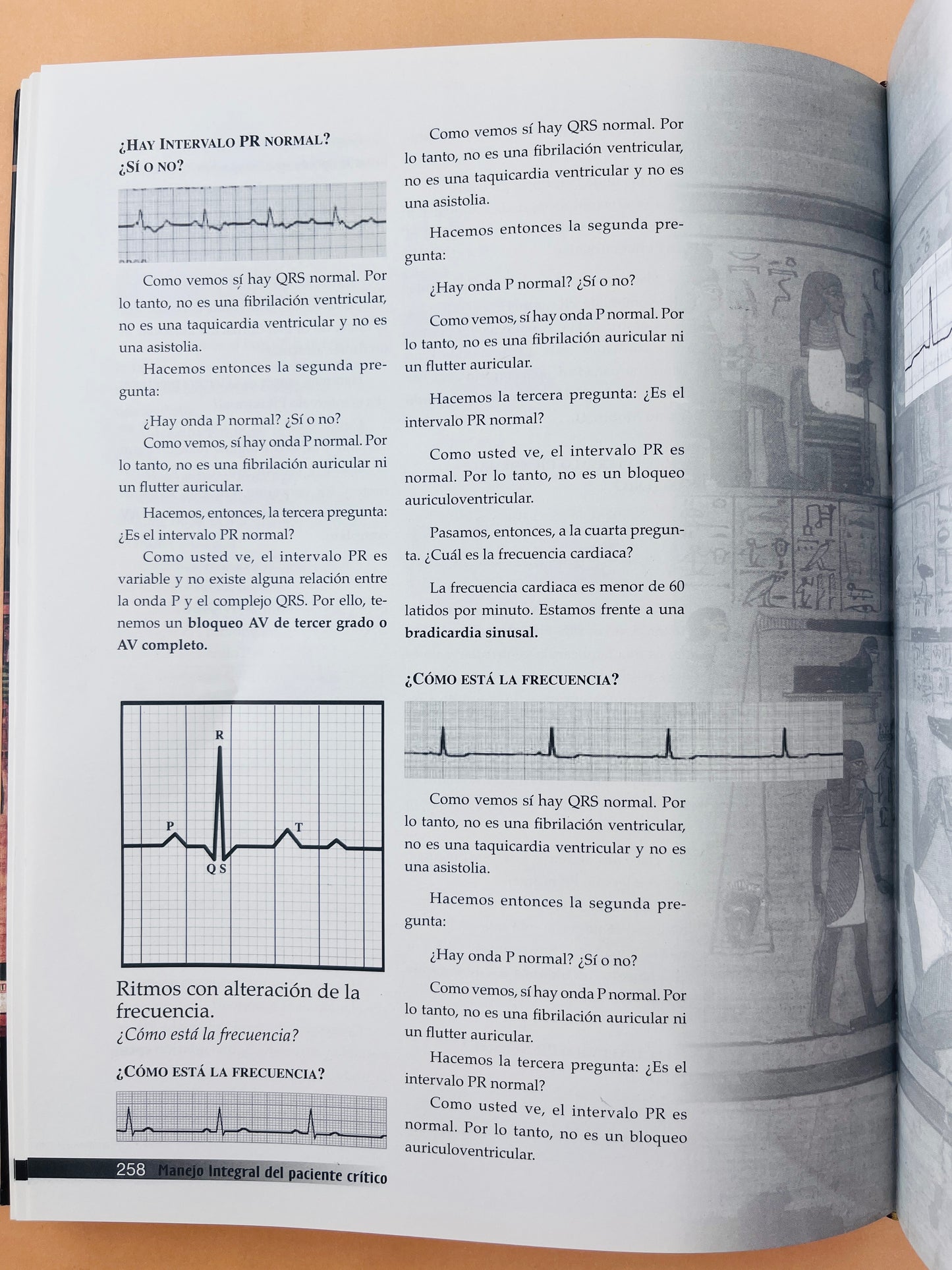 Manejo integral del paciente crítico segunda edición