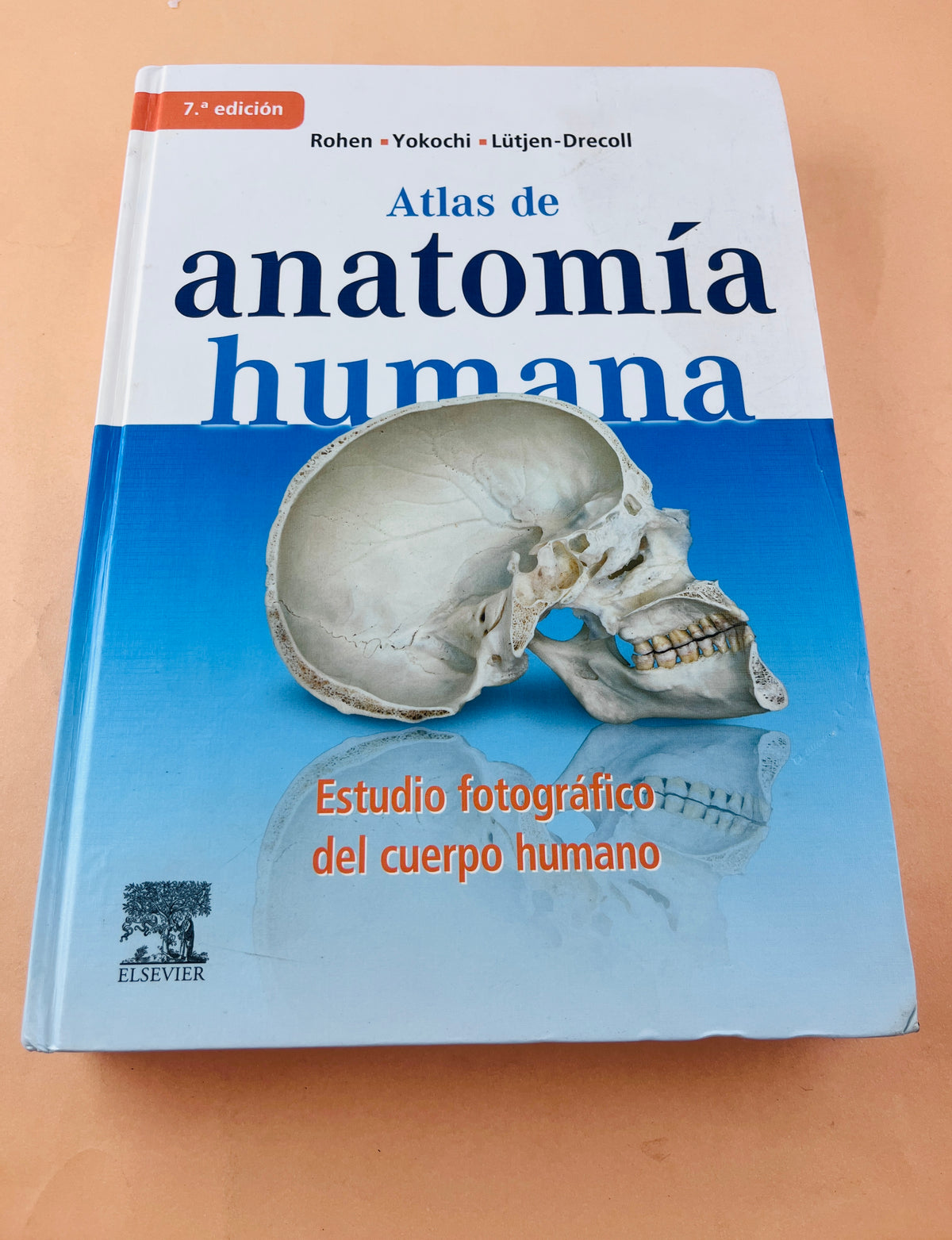 Atlas de anatomía humana estudio fotográfico de cuerpo humano séptima ediciónedición by Rohen Yokochi Lütjen Drecoll