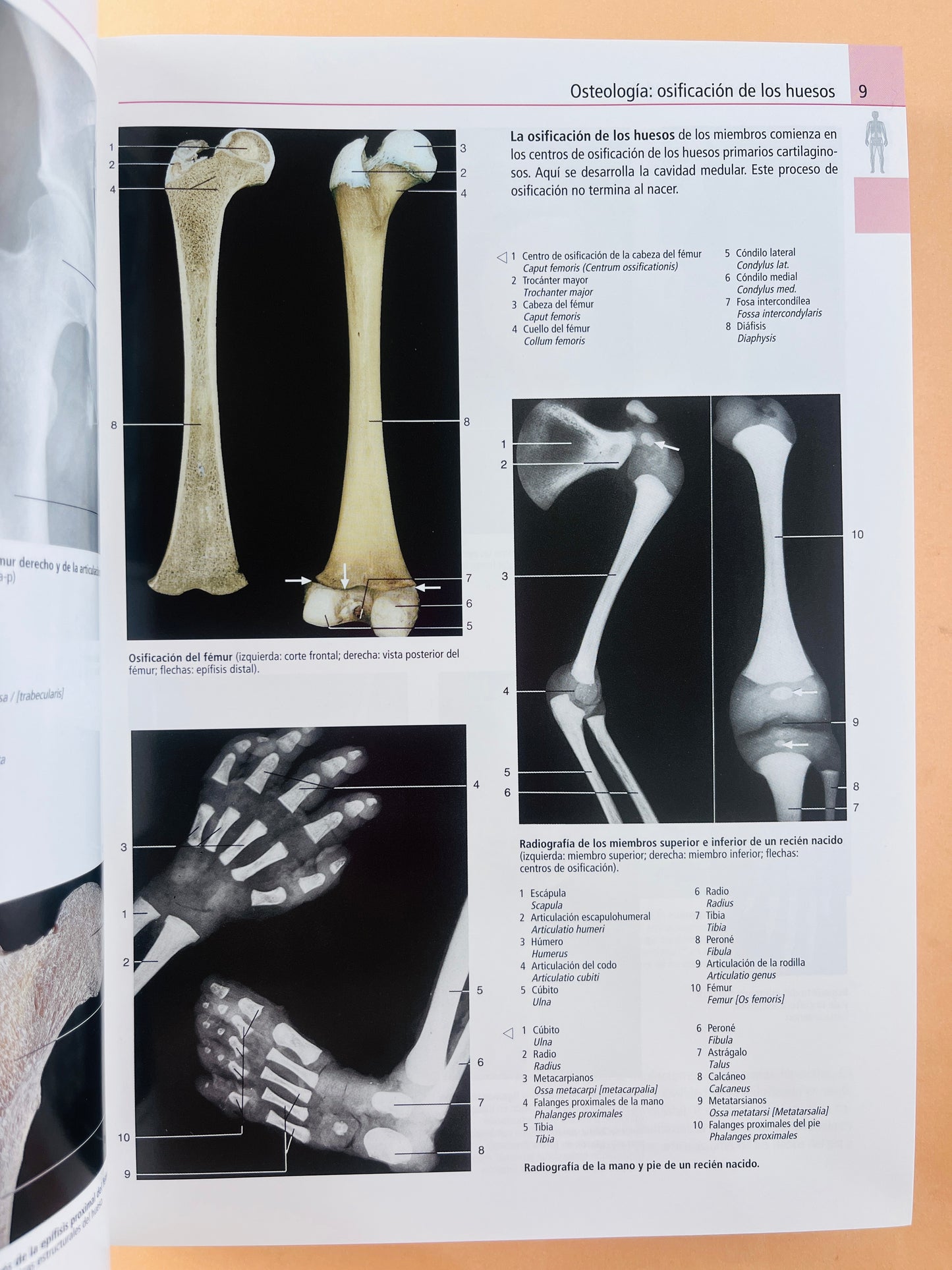Atlas de anatomía humana estudio fotográfico de cuerpo humano séptima ediciónedición