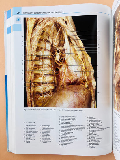 Atlas de anatomía humana estudio fotográfico de cuerpo humano séptima ediciónedición
