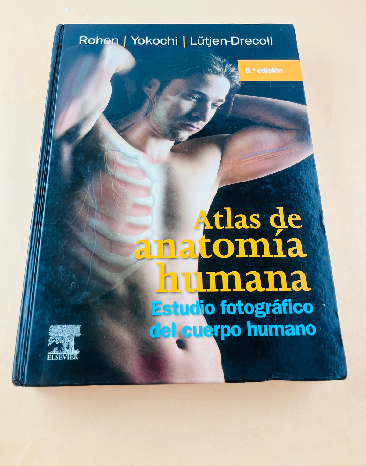 Atlas de anatomía humana estudio fotográfico de cuerpo humano octava edición by Rohen Yokochi Lütjen Drecoll