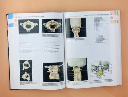 Atlas de anatomía humana estudio fotográfico de cuerpo humano octava edición