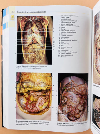 Atlas de anatomía humana estudio fotográfico de cuerpo humano octava edición