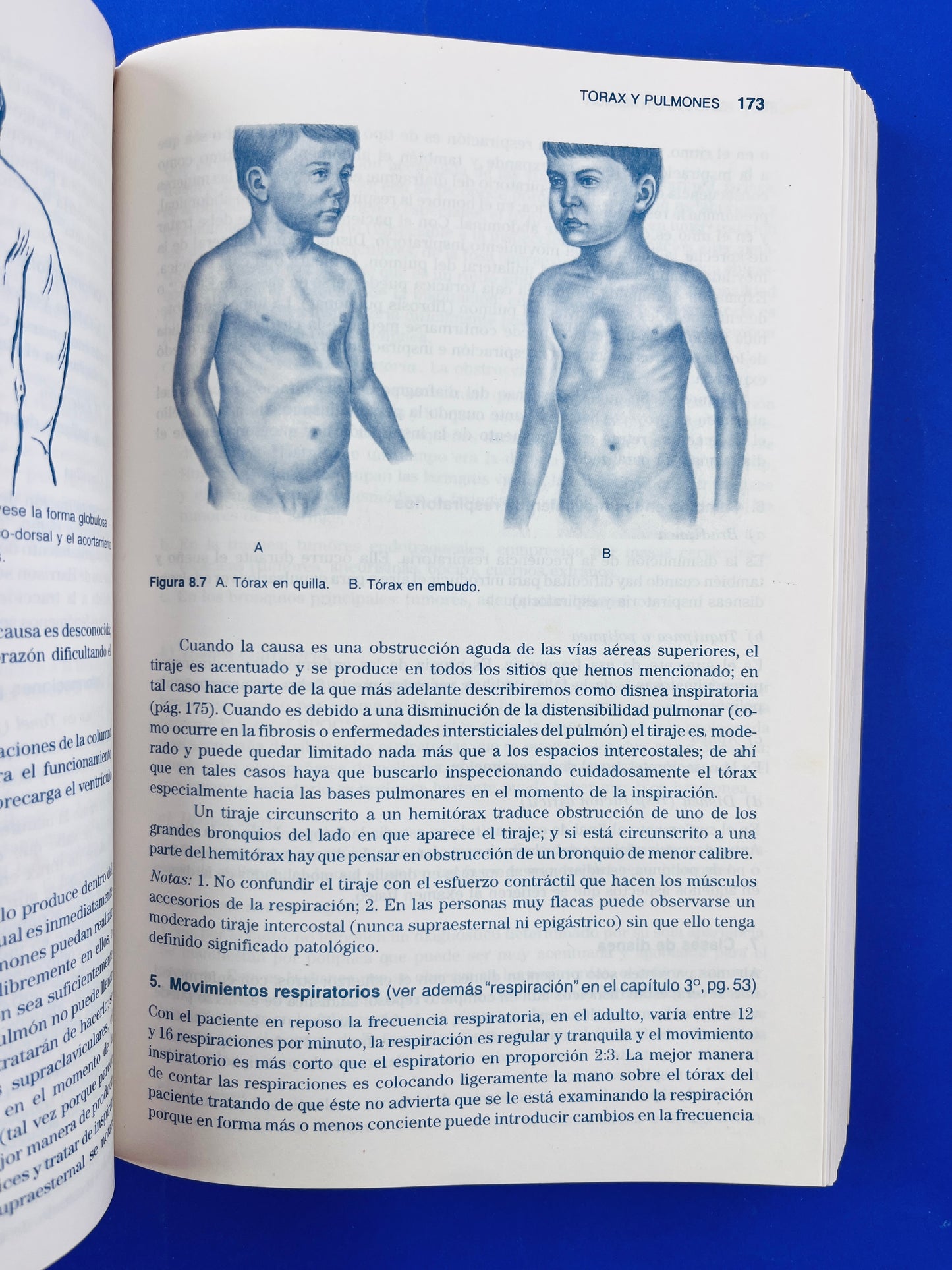 Semiología médica cuarta edición