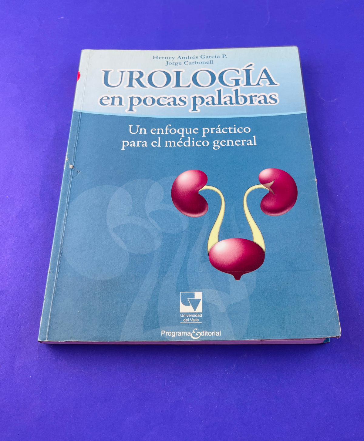 Urología en pocas palabras un enfoque práctico para el médico general by HerneyAndrés García P.