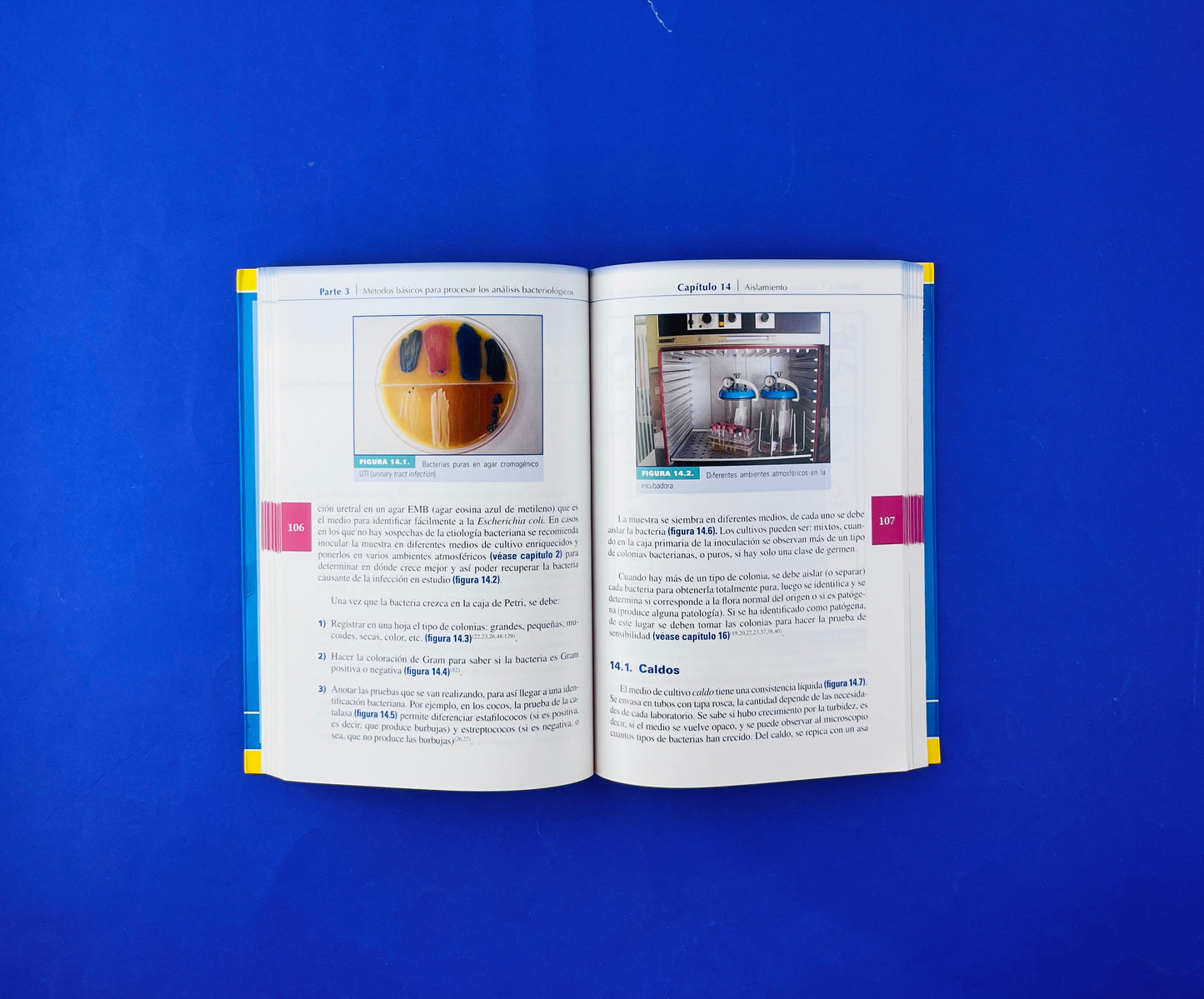 Guías prácticas para los laboratorios de Bacteriología clínica