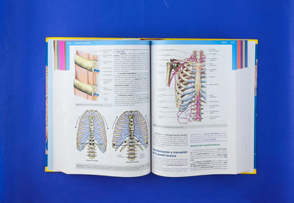 Anatomía Clínica segunda edición