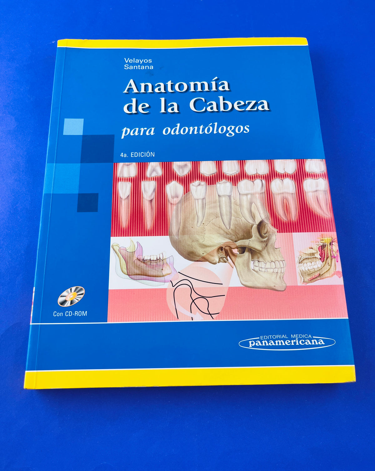Anatomía de la cabeza para odontólogos cuarta edición by Velayos Santana