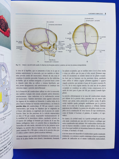 Anatomía de la cabeza para odontólogos cuarta edición