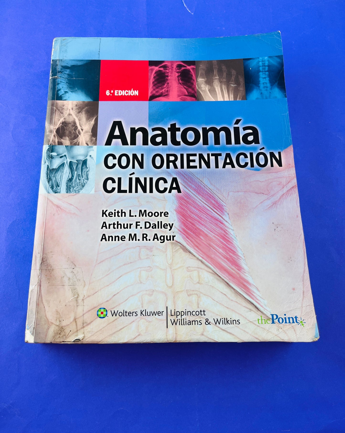 Anatomía con orientación clínica sexta edición