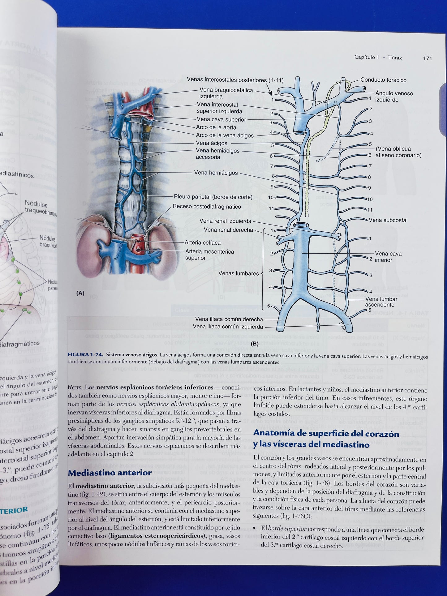 Anatomía con orientación clínica sexta edición