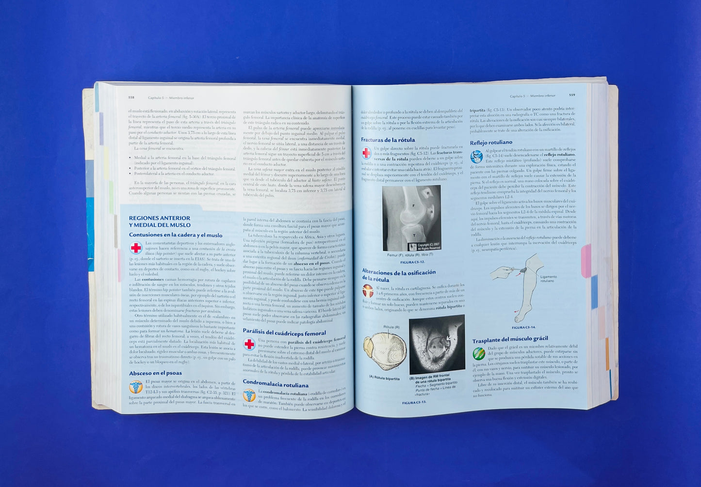 Anatomía con orientación clínica sexta edición