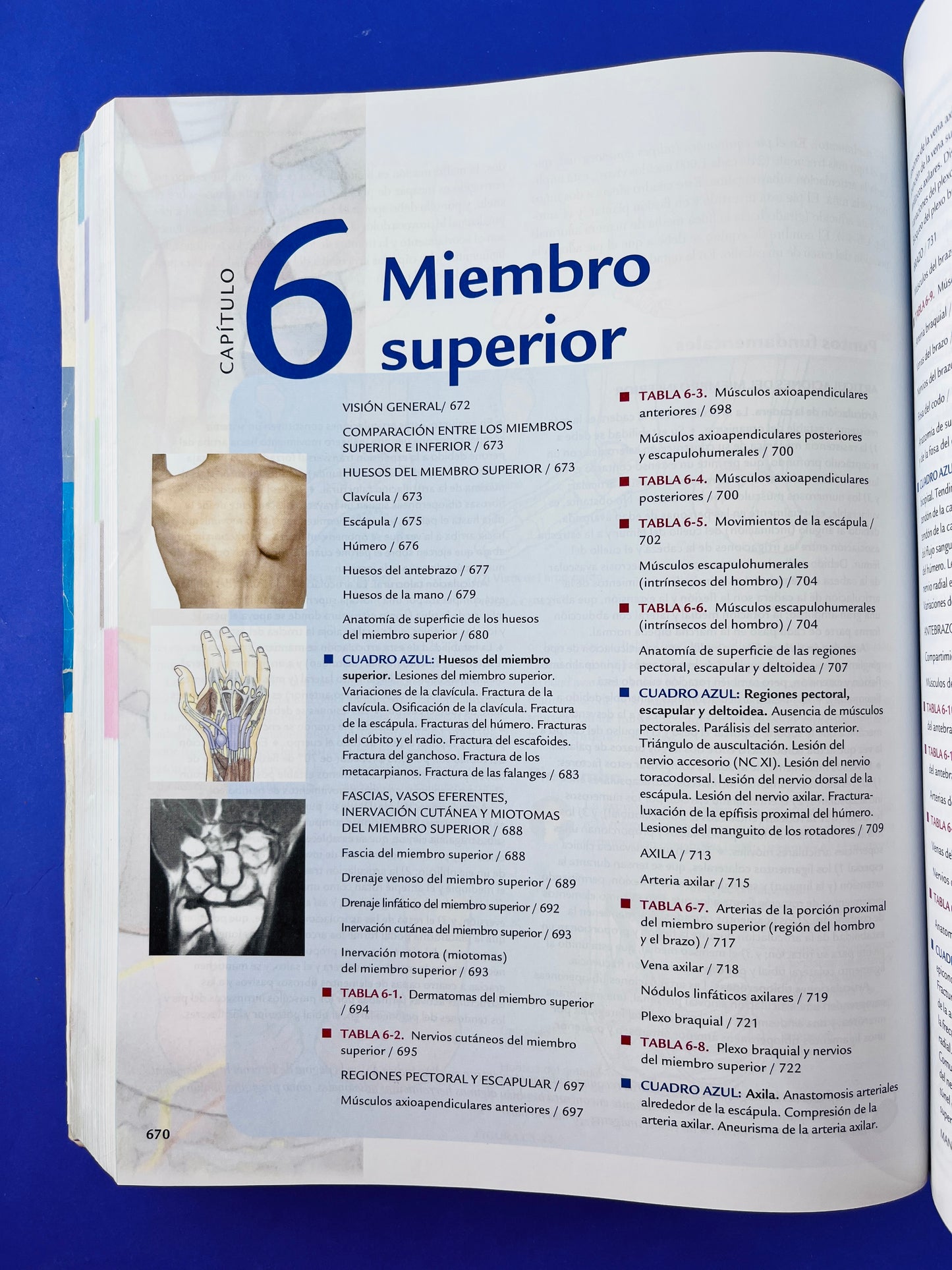 Anatomía con orientación clínica sexta edición