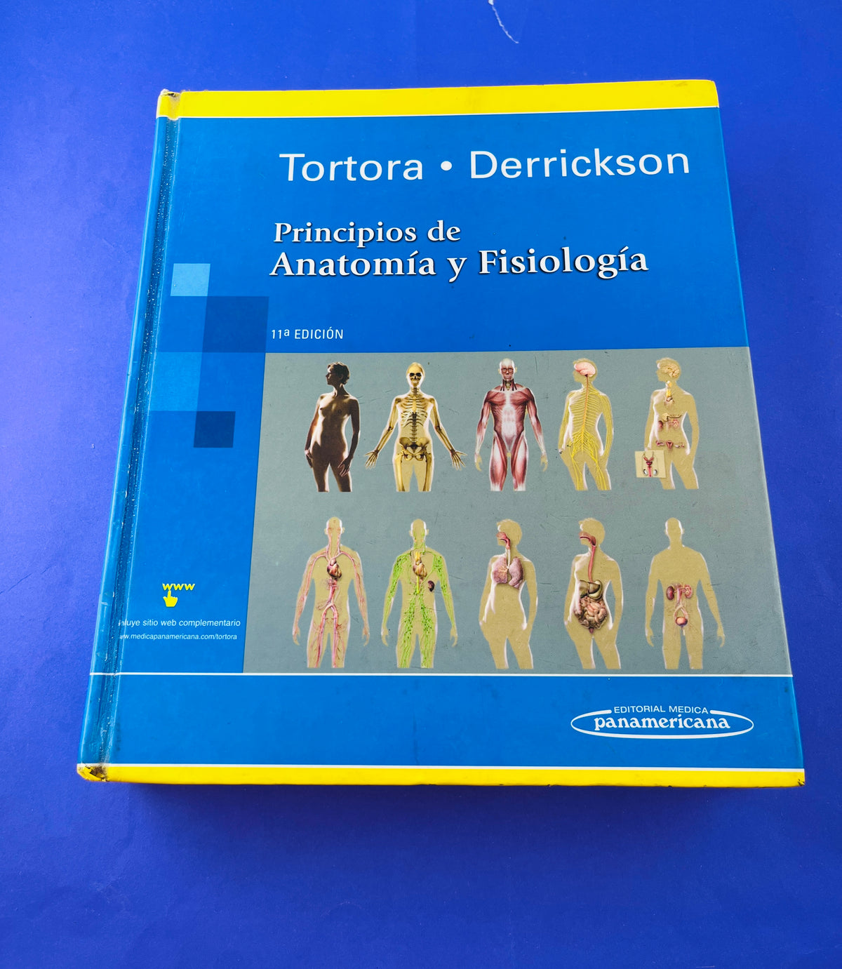 Principíos de anatomía y fisiología 11a. edición by Tortora Derrickson