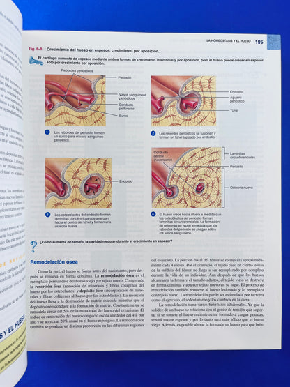 Principíos de anatomía y fisiología 11a. edición