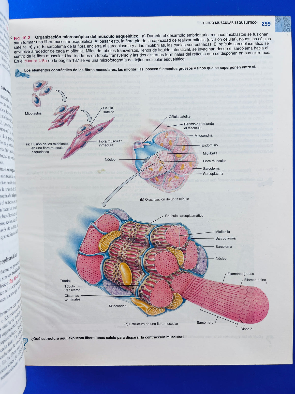 Principíos de anatomía y fisiología 11a. edición by Tortora Derrickson