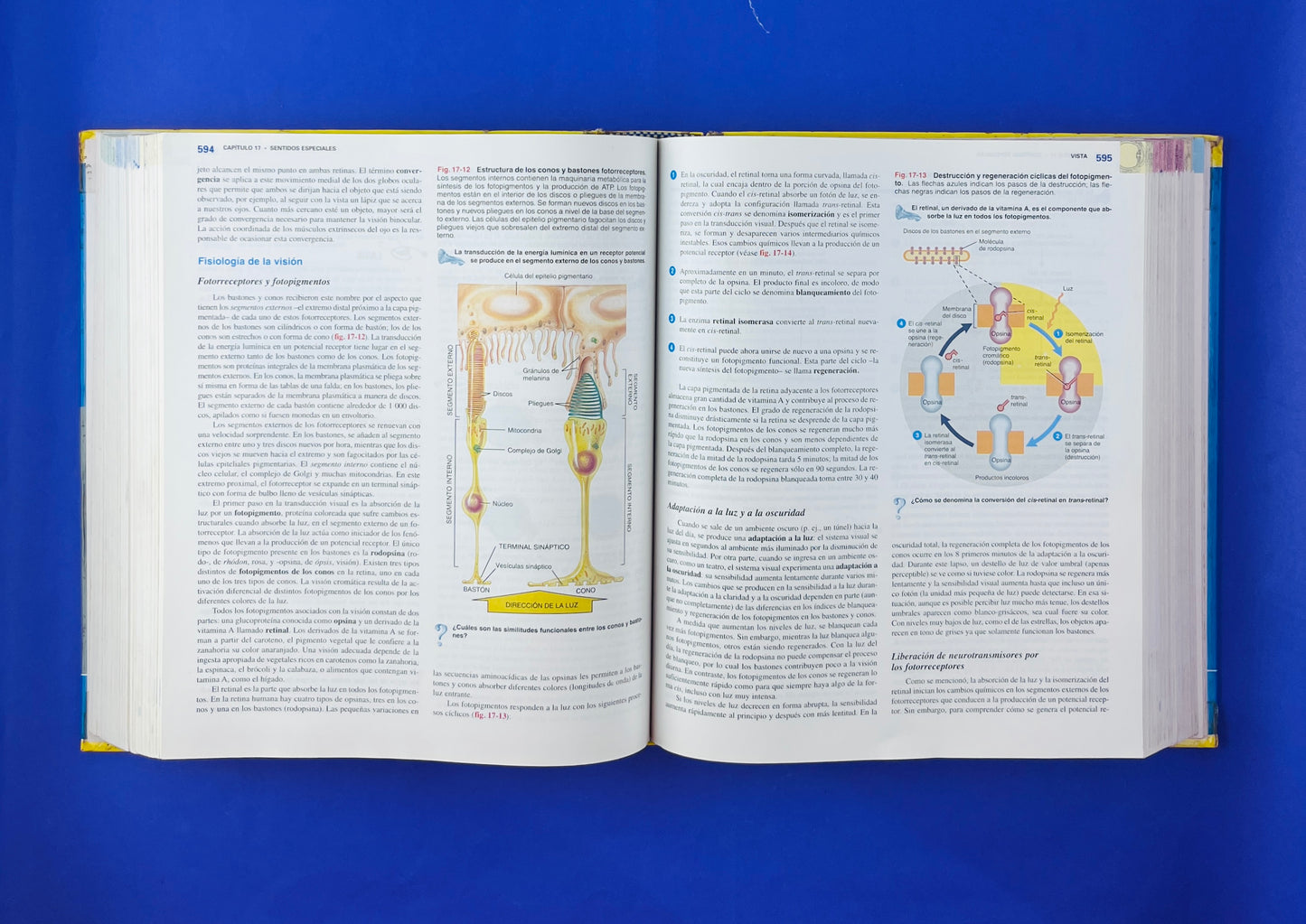 Principíos de anatomía y fisiología 11a. edición