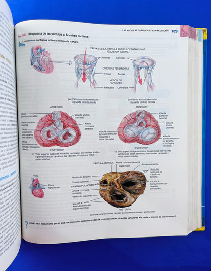 Principíos de anatomía y fisiología 11a. edición