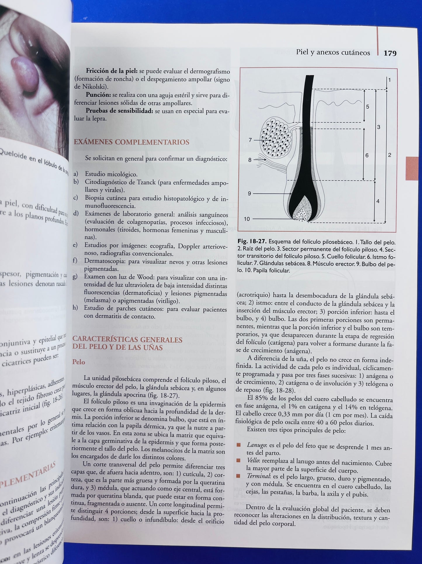 Semiología médica Fisiopatología, Semiotecnia y Propedéutica