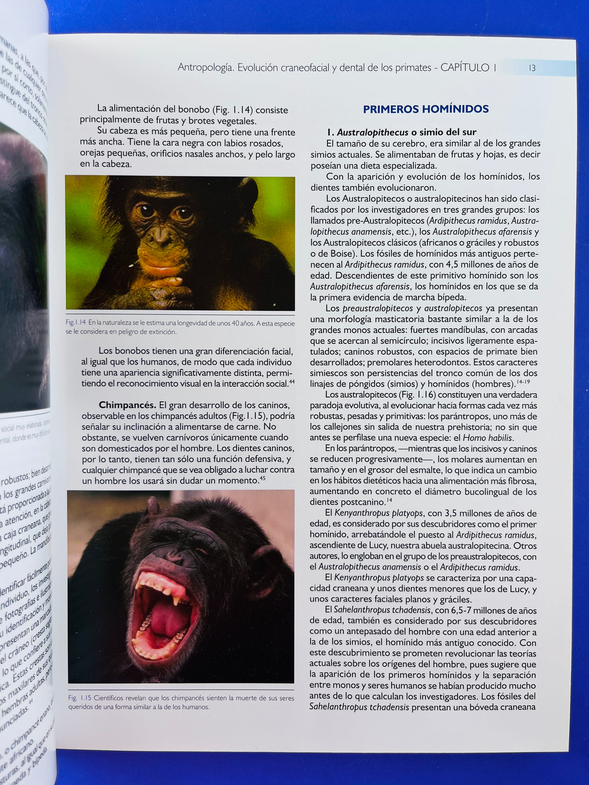 Armonía Dentofacial el resultado de un correcto análisis by Olga Lucía Giraldo R. Marcia Ingrid Rodríguez R.