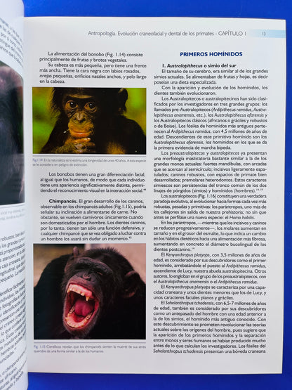Armonía Dentofacial el resultado de un correcto análisis