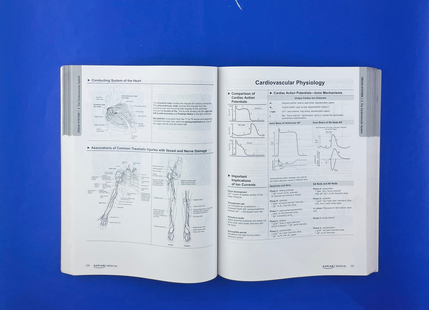 Kaplan Medessentals for the USMLE step 1 fourth edition