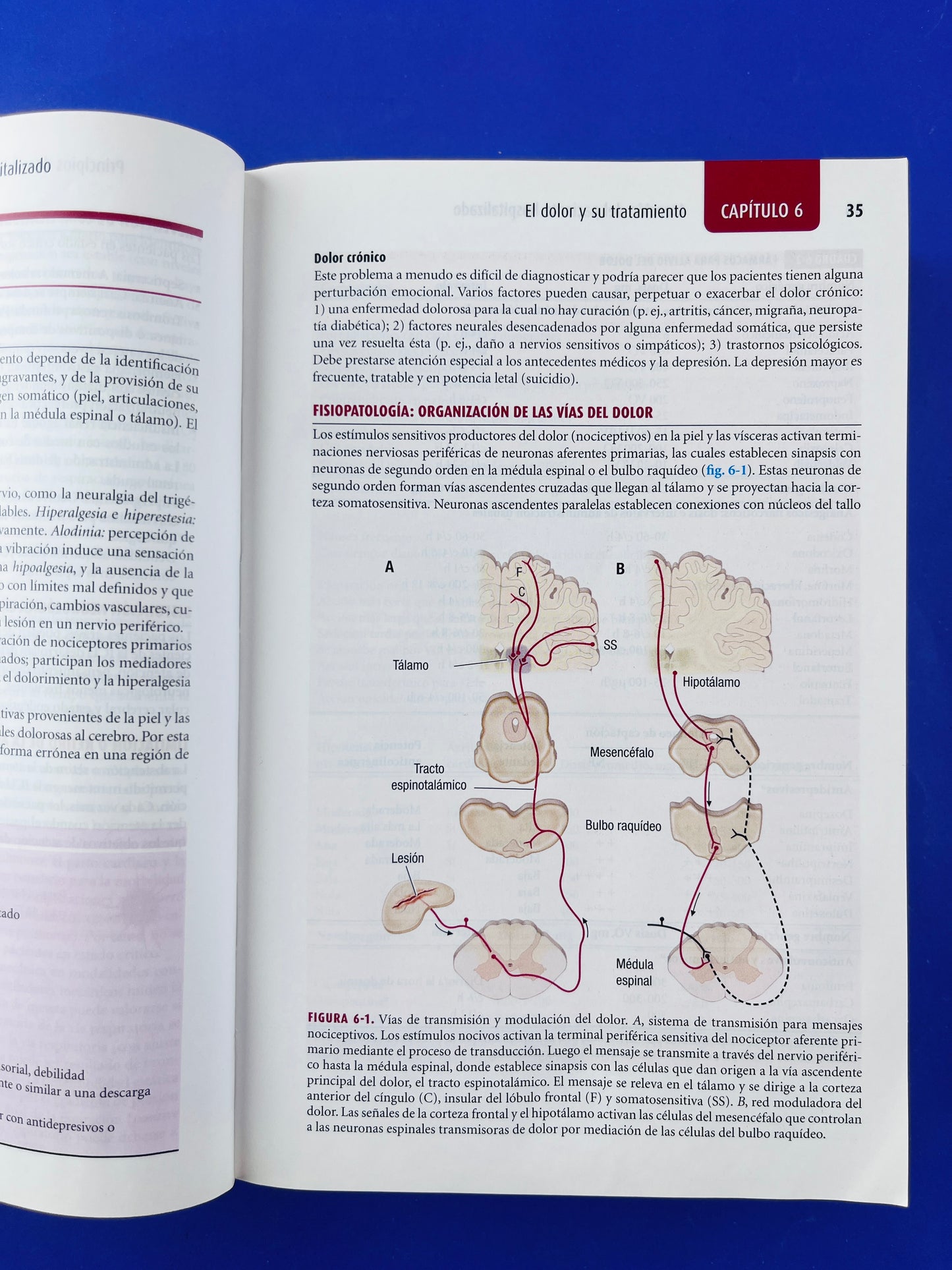 Harrison Manual de medicina 17a edición