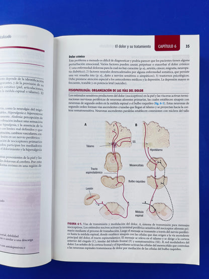 Harrison Manual de medicina 17a edición