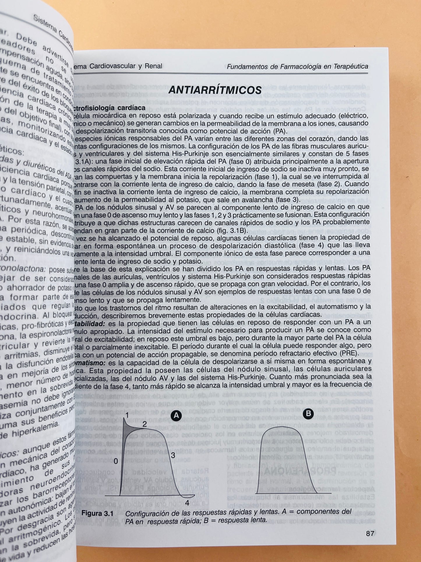 Fundamentos de farmacología en terapeutica cuarta edición