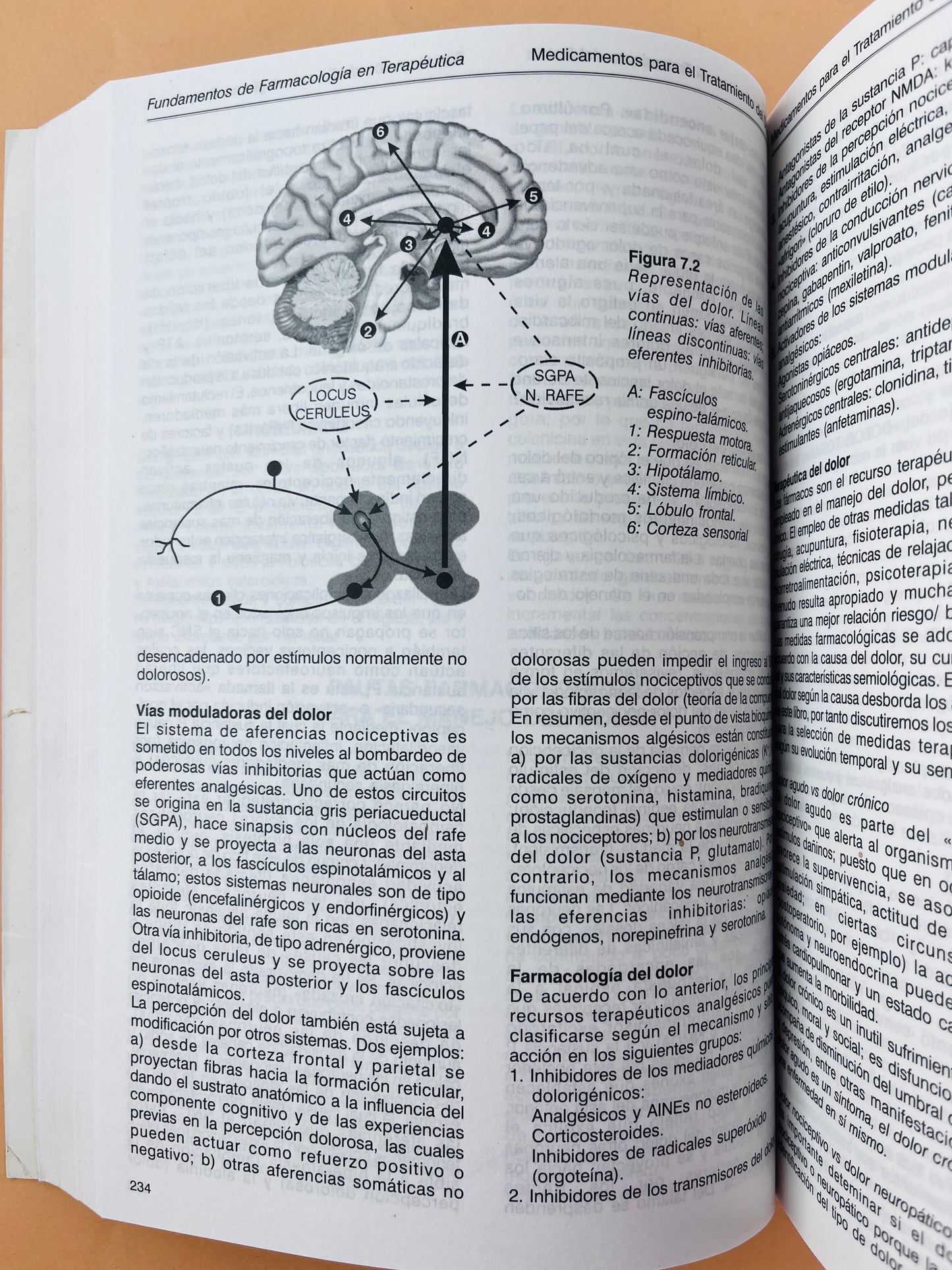 Fundamentos de farmacología en terapeutica cuarta edición