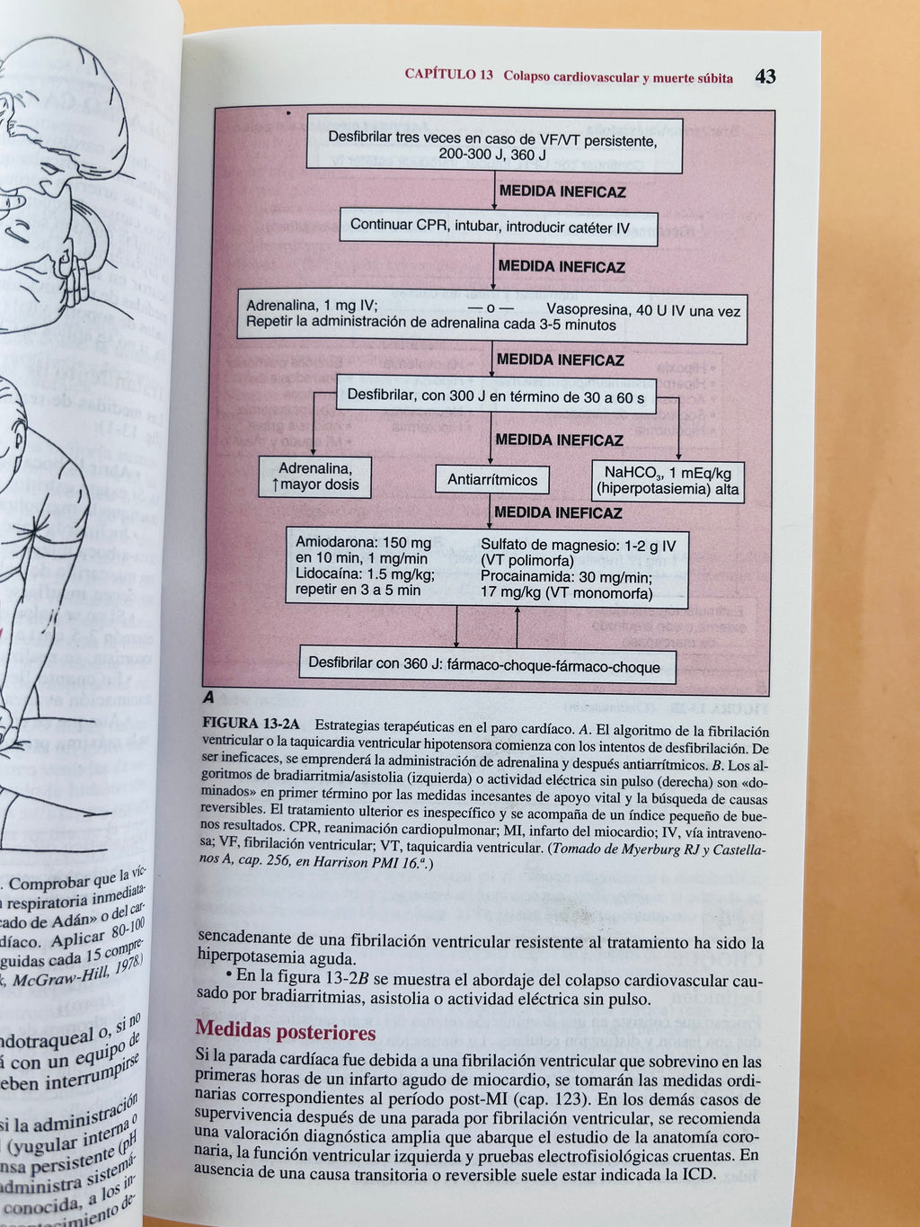Harrison Manual de medicina 16a edición by Kasper Braunwald FaciHauser Longo Jameson