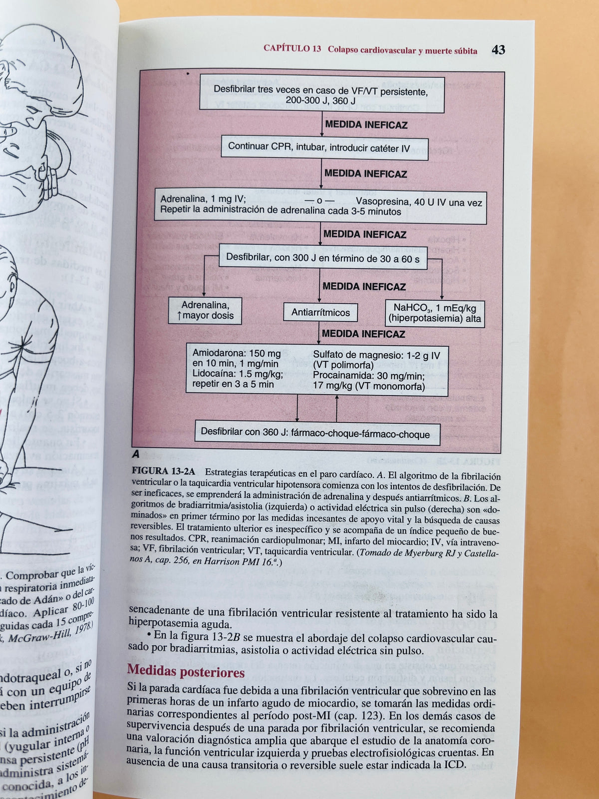Harrison Manual de medicina 16a edición by Kasper Braunwald FaciHauser Longo Jameson