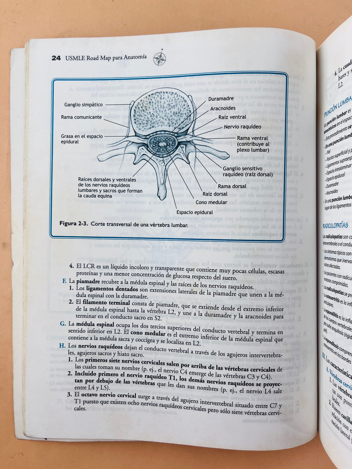 Usmle road map Anatomía segunda edición by James S. White