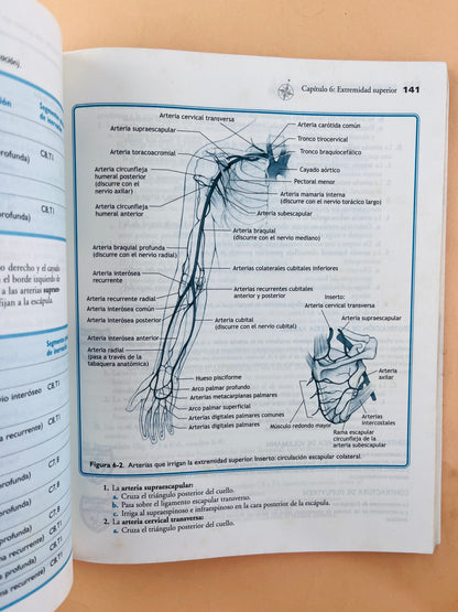 Usmle road map Anatomía segunda edición