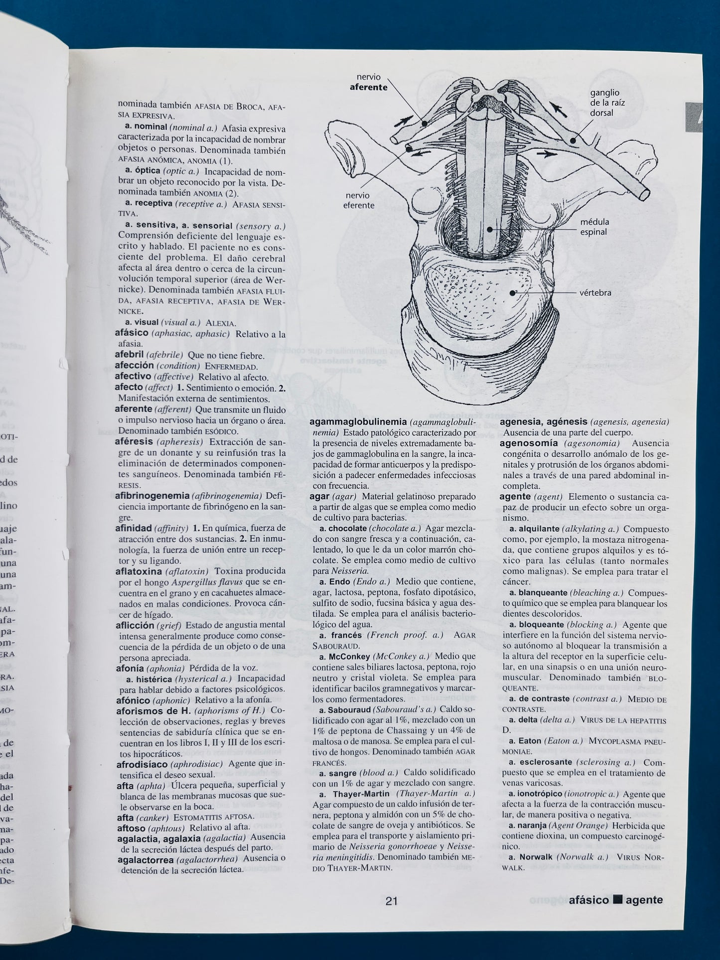 Harper collins de bolsillo ilustrado diccionario médico