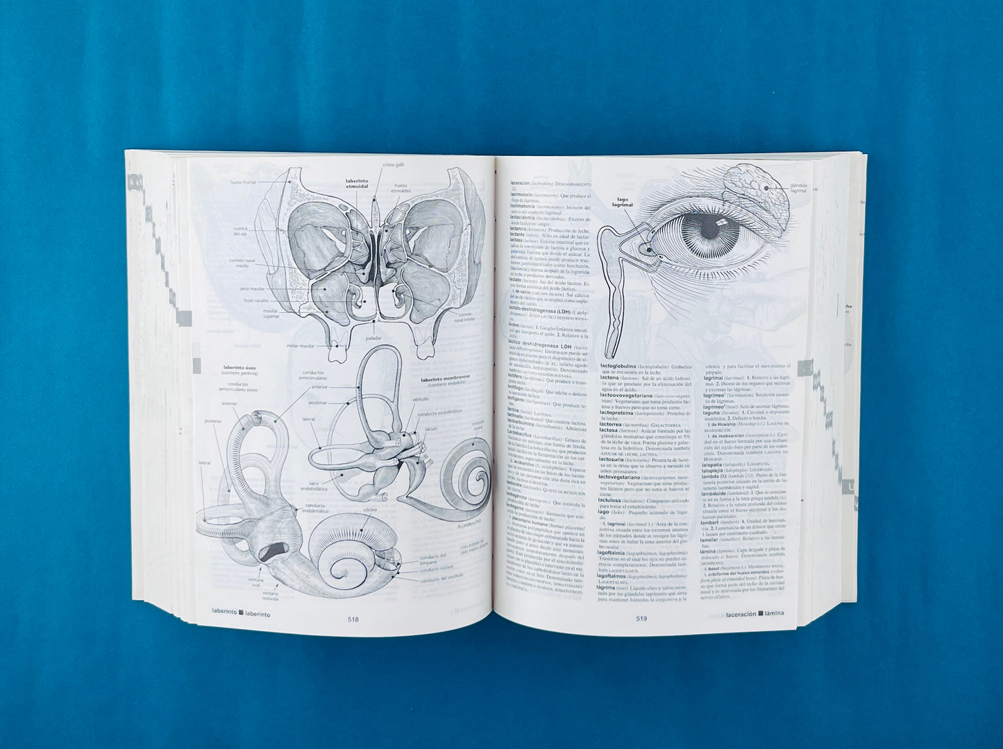 Harper collins de bolsillo ilustrado diccionario médico