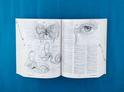 Harper collins de bolsillo ilustrado diccionario médico